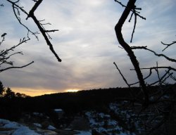 IMG_0241e.jpg