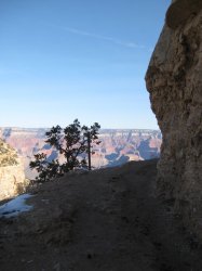 IMG_0377.jpg