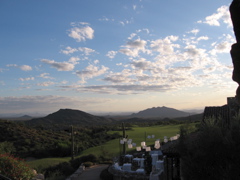 6414.jpg
