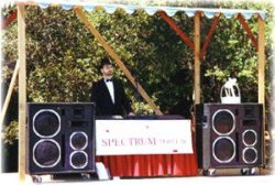 Wedding Banner.jpg
