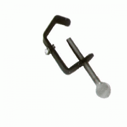BacoImage.gif