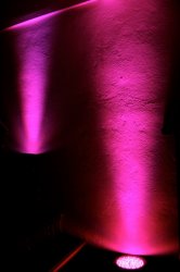 IMG_6990.jpg