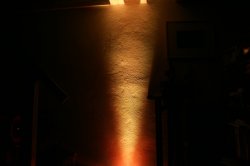 IMG_6992.jpg