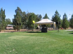 IMG_7149.jpg