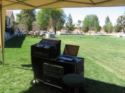 IMG_7153.jpg