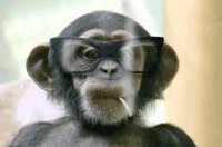 smokin\' monkey.jpg