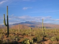 arizona_desert-1218.jpg