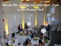 Up-lighting and cake spot at OOH.jpg