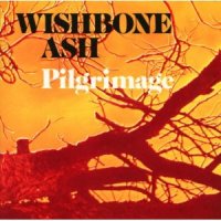 wishbone.jpg