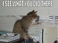 See what you did.jpg