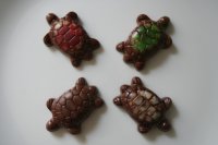 chocturtle.jpg