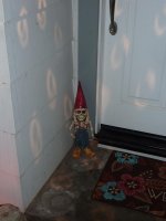 Chuck n Kajiras Xmas House (10).jpg