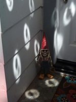 Chuck n Kajiras Xmas House (11).jpg