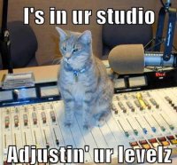 adjustinlevels.jpg