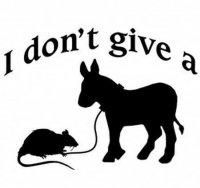 Rats Ass.jpg Rats Ass.jpg