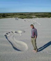 big_foot_print1.jpg big_foot_print1.jpg