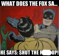 fox.jpg