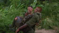 gump8-1024x576.jpg