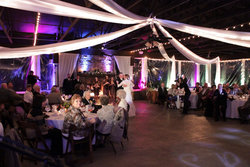 IMG_5522.jpg