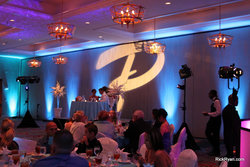 IMG_9560.jpg