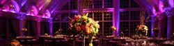 ashford-estate-1.jpg ashford-estate-1.jpg