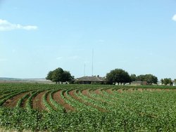 farm.jpg farm.jpg