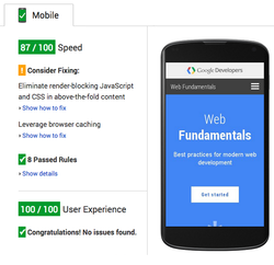 web-fundamentals-psi-mobile.png
