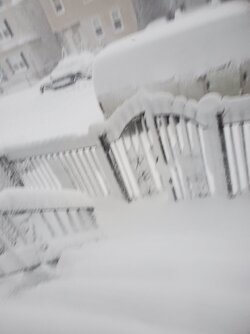 20260223_070946.jpg