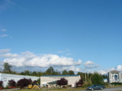DSC01810.jpg