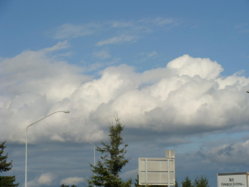 DSC01811.jpg