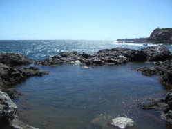 Kajira  Birthing Pools 2.JPG