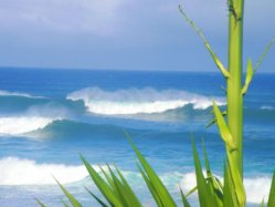 Waves 3.jpg