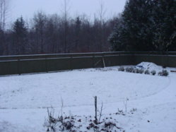 DSC02138.jpg