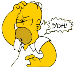 homer_doh.png